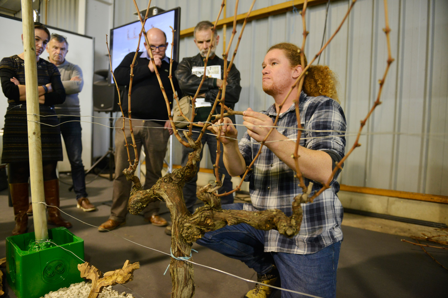 Dionysud2018 015.jpg